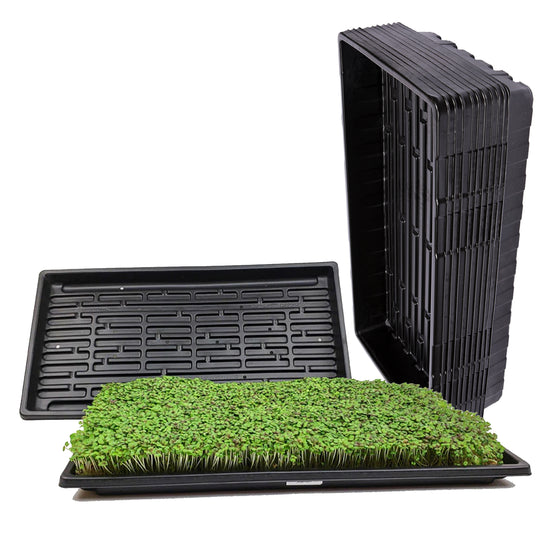1020 Microgreen Trays
