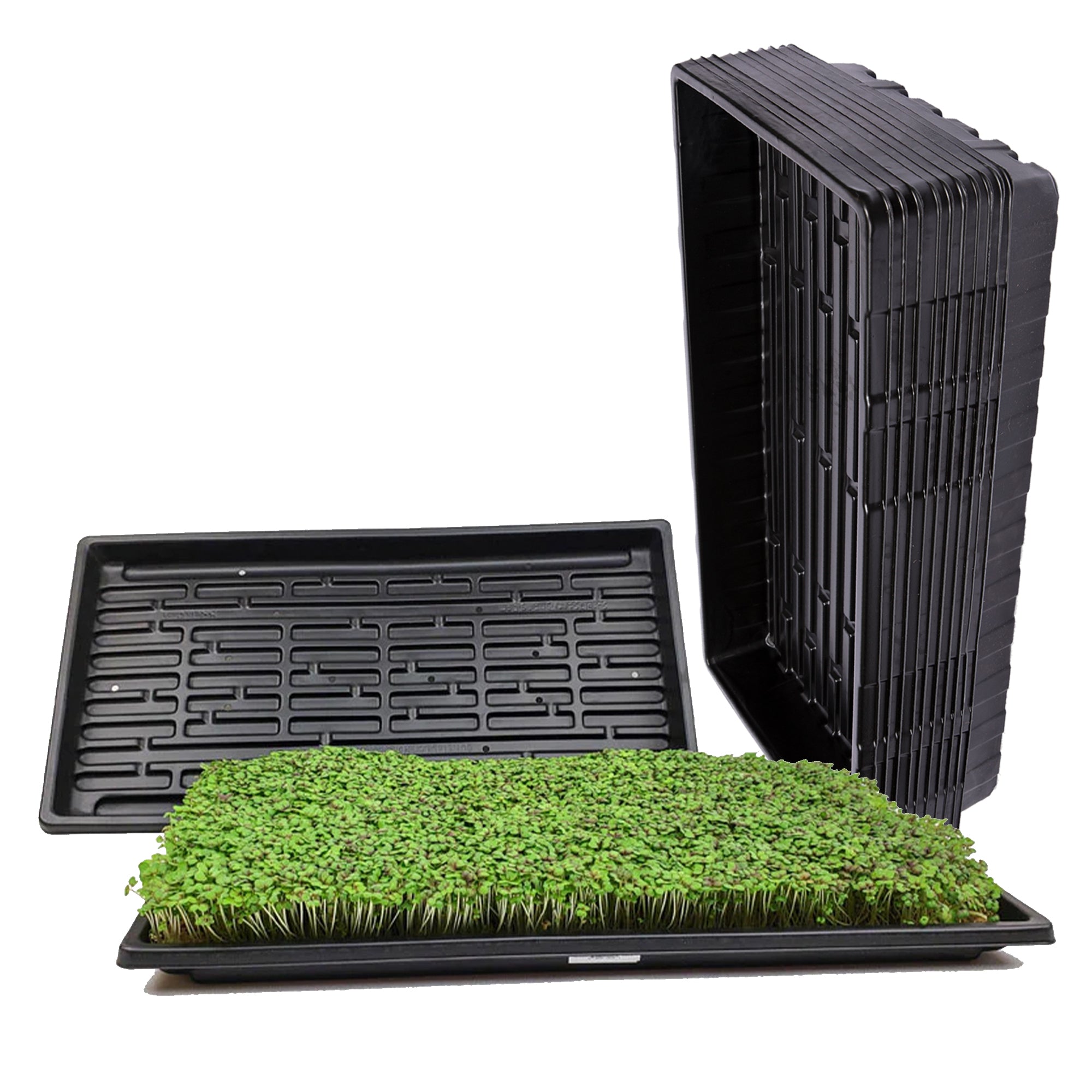 10+ Microgreen Tray Set 1020 Microgreen Trays – Midas Hydroponics & Gardening